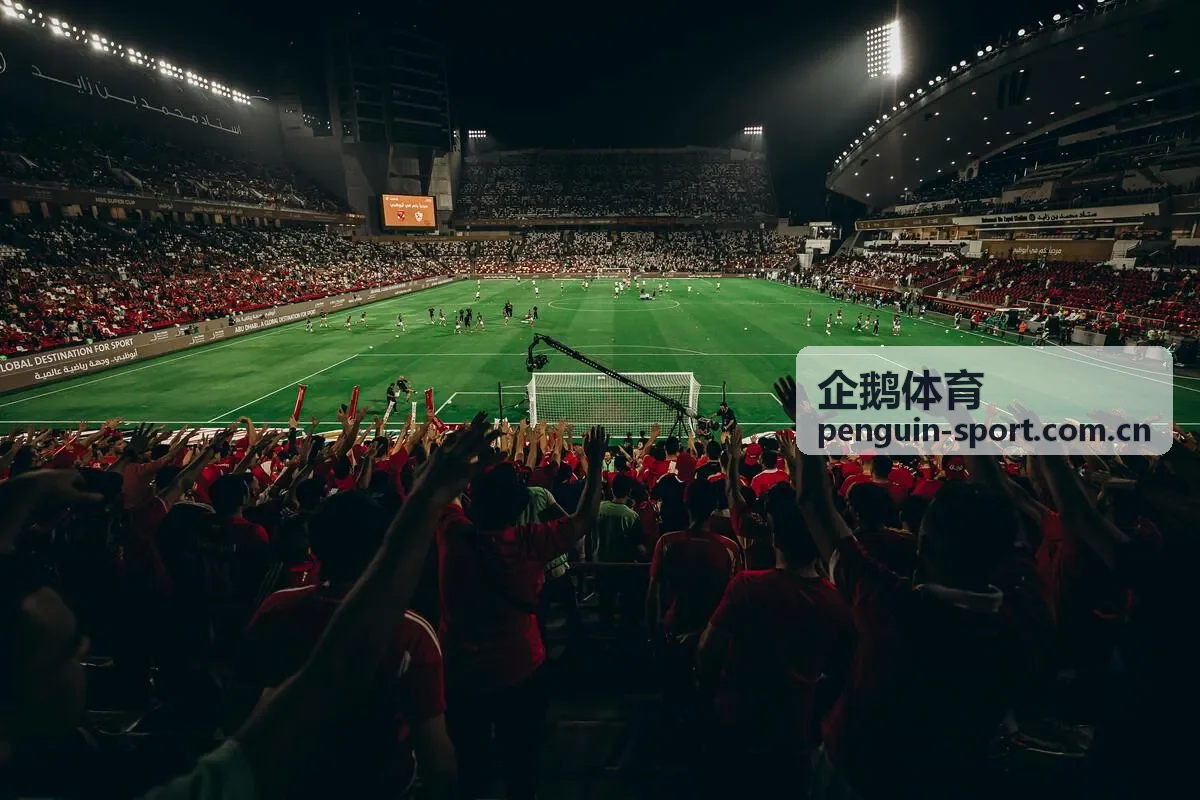 企鹅体育合作场馆空间